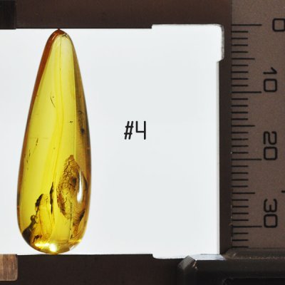 äkta baltisk bärnsten med inklusioner