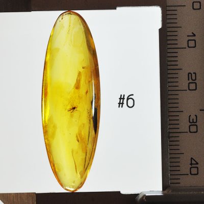 äkta baltisk bärnsten med inklusioner