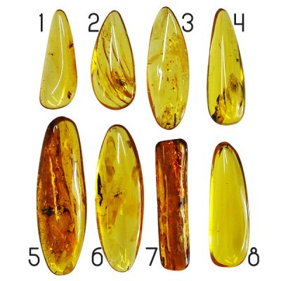 äkta baltisk bärnsten med inklusioner