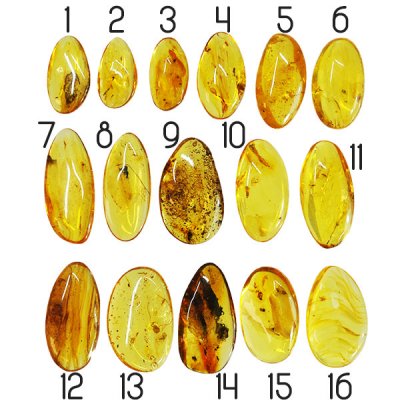 äkta baltisk bärnsten med inklusioner