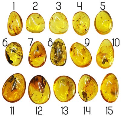 äkta baltisk bärnsten med inklusioner