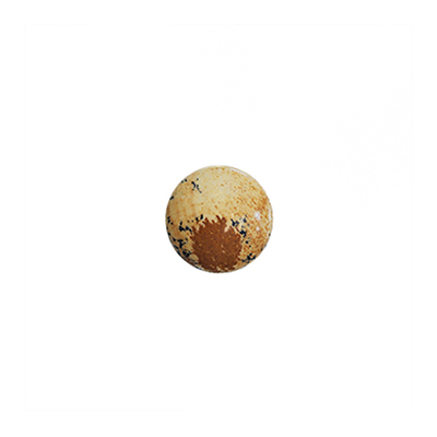 Cabochon, naturlig landskapsjaspis, 10mm rund